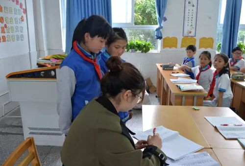 保護森林,熊熊有責 ,學生花式練字,不給 優(yōu)星 說不過去了