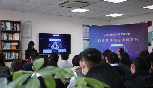 習遠發(fā)布咨詢項目協(xié)同平臺 信息化系統(tǒng)實現(xiàn)業(yè)務(wù)全覆蓋