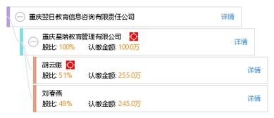 重慶翌日教育信息咨詢有限責(zé)任公司 專業(yè)教育信息咨詢服務(wù)的引領(lǐng)者